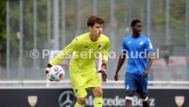 14.09.24 U17 VfB Stuttgart - U17 TSG 1899 Hoffenheim