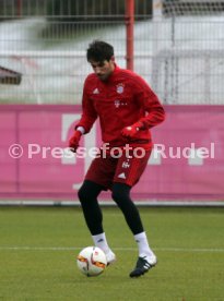 FC Bayern M&uuml;nchen Training