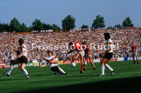 14.06.88 Deutschland - D&auml;nemark