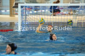14.02.26 Frauen SSV Esslingen - SC Chemnitz 1892