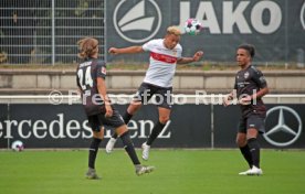 03.08.20 VfB Stuttgart Training