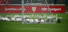 24.10.23 VfB Stuttgart Training