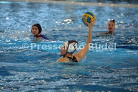 14.02.26 Frauen SSV Esslingen - SC Chemnitz 1892