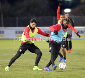 VfB Stuttgart Training