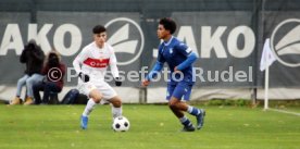 25.11.23 U19 VfB Stuttgart - U19 TSG 1899 Hoffenheim