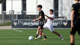 08.03.26 U19 VfB Stuttgart - U19 1. FC K&ouml;ln