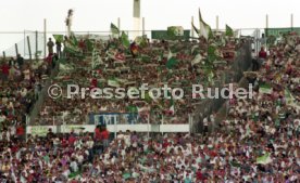 05.06.1993 VfB Stuttgart - SV Werder Bremen