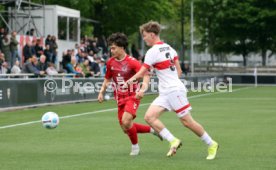 26.04.25 U19 VfB Stuttgart - U19 1. FC Köln