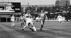 VfB Stuttgart - 1. FC K&ouml;ln