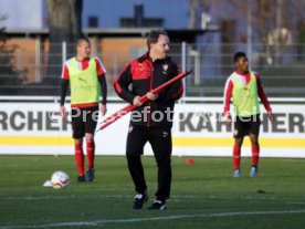 VfB Stuttgart Training