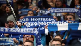 25.02.23 TSG 1899 Hoffenheim - Borussia Dortmund