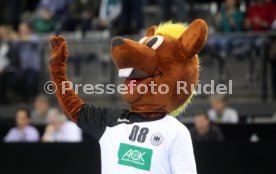 Handball DHB