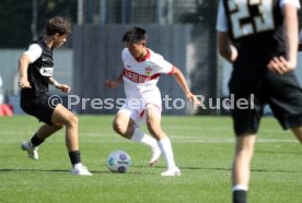 21.09.24 U19 VfB Stuttgart - U19 SV Elversberg