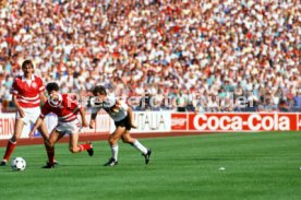 14.06.88 Deutschland - D&auml;nemark