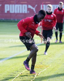 VfB Stuttgart Training