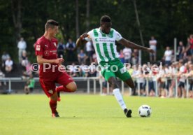 VfB Stuttgart - FC St. Gallen