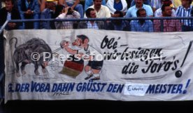 17.06.88 Deutschland - Spanien