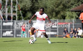 11.08.24 VfB Stuttgart II - TSV 1860 M&uuml;nchen