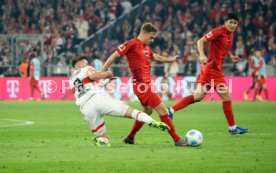 19.10.24 FC Bayern M&uuml;nchen - VfB Stuttgart