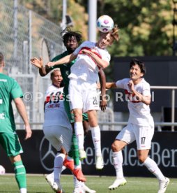 08.09.23 VfB Stuttgart - FC St. Gallen