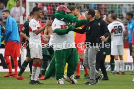 VfB Stuttgart - VfL Wolfsburg