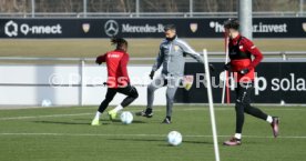 19.02.25 VfB Stuttgart Training