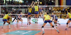 Allianz MTV Stuttgart - SSC Palmberg Schwerin
