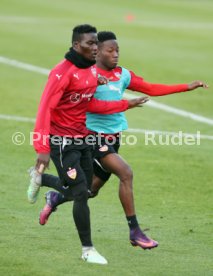 VfB Stuttgart Training