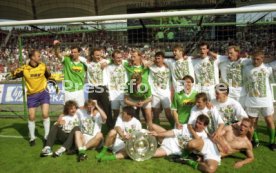 05.06.1993 VfB Stuttgart - SV Werder Bremen