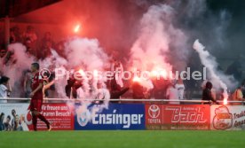 VfB Stuttgart - FC St. Gallen