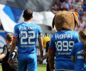1899 Hoffenheim - FC Bayern M&uuml;nchen