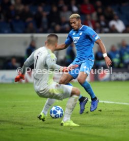 TSG 1899 Hoffenheim - Olympique Lyon