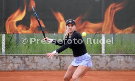 05.05.24 TEC Waldau - TC BW Dresden Blasewitz