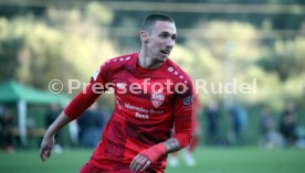 VfB Stuttgart - FC Basel