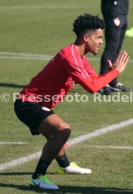VfB Stuttgart Training