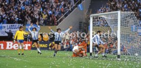 FIFA WM 1978