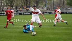 U19 VfB Stuttgart - U17 FC Bayern M&uuml;nchen
