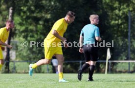 23.08.26 TSV Ph&ouml;nix Steinsfurt - SV Tiefenbach