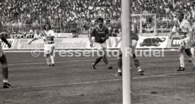 05.06.1993 VfB Stuttgart - SV Werder Bremen