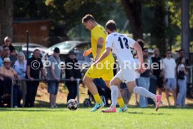 23.08.26 TSV Ph&ouml;nix Steinsfurt - SV Tiefenbach
