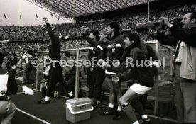 DFB-Pokal Finale 1987 Hamburger SV - Stuttgarter Kickers