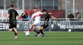 08.03.26 U19 VfB Stuttgart - U19 1. FC K&ouml;ln