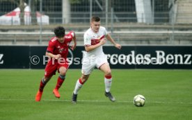 U19 VfB Stuttgart - U17 FC Bayern M&uuml;nchen