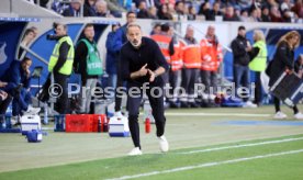 02.11.24 TSG 1899 Hoffenheim - FC St. Pauli