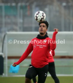 VfB Stuttgart Training