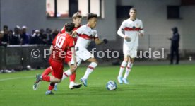 11.03.22 VfB Stuttgart II - TSG Balingen