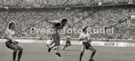 DFB-Pokal Finale 1987 Hamburger SV - Stuttgarter Kickers