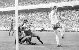 SV Werder Bremen - VfB Stuttgart