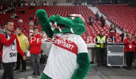 22.09.23 VfB Stuttgart - SV Darmstadt 98