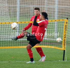 VfB Stuttgart Training